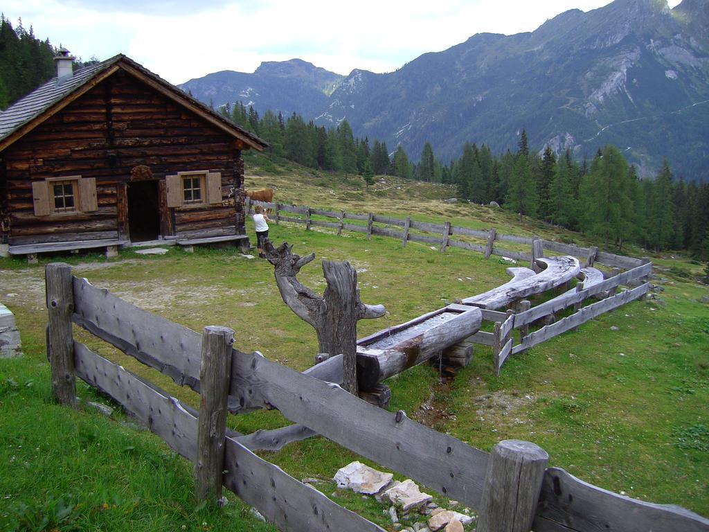 Appartamento Untersteinhof Forstau  Esterno foto