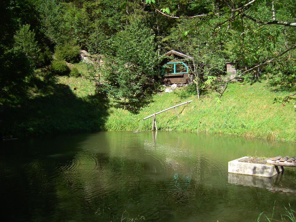 Appartamento Untersteinhof Forstau  Esterno foto